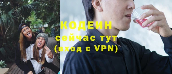 ешки Бородино