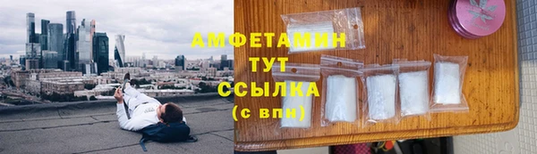 ешки Бородино