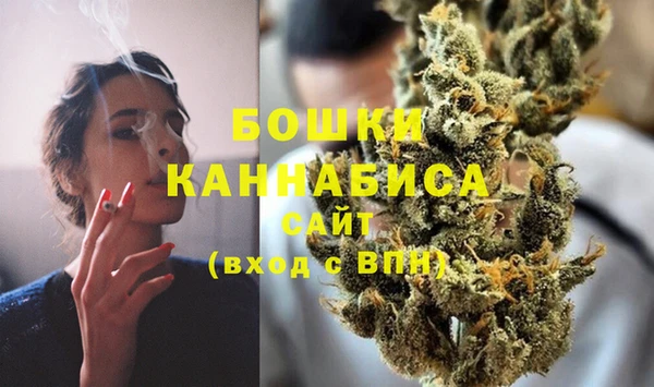мдпв Бронницы
