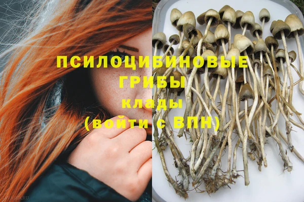 гидра Бугульма
