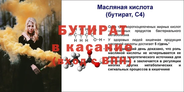 ешки Бородино