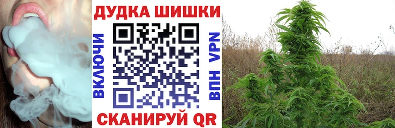 дарк нет состав  Кизилюрт  Канабис сатива 